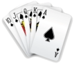 Senior Citizen Cards - Cribbage!